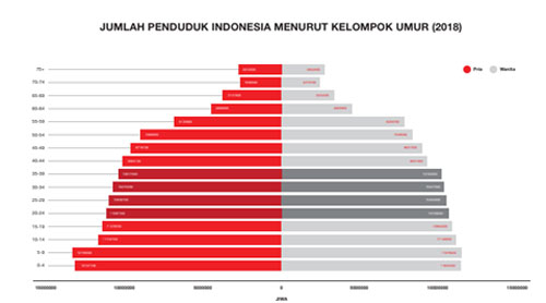 Jumlah Penduduk Indonesia Menurut Kelompok Umur 2018 IDN Times