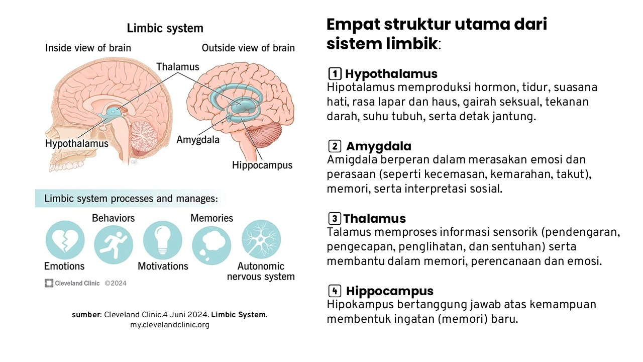 Sistem Limbik (Lymbic Systems)